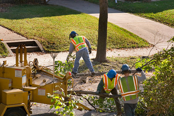 Best Tree Pruning Services  in St Georges, DE